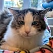 Thumbnail photo of Reggie #1