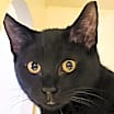 Thumbnail photo of Ivan #2