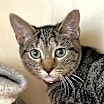 Thumbnail photo of Tilly #1