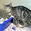 Thumbnail photo of Tilly #2