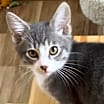 Thumbnail photo of Victor #4