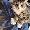 Thumbnail photo of Charlie #1