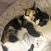 Thumbnail photo of Coco and Zizi #2