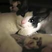 Thumbnail photo of Coco and Zizi #3