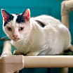 Thumbnail photo of Dean #2