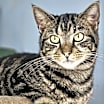 Thumbnail photo of Levi #1