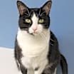 Thumbnail photo of Spunky #1