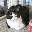 Thumbnail photo of Spunky #4