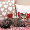 Thumbnail photo of Gabby #2