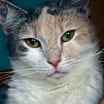 Thumbnail photo of Athena #1