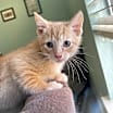 Thumbnail photo of Ozzy #1