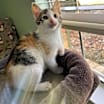 Thumbnail photo of Casey #2