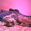 Thumbnail photo of Luna #3