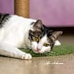 Thumbnail photo of Yadira #1