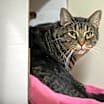 Thumbnail photo of Boyd #1