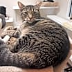 Thumbnail photo of Boyd #2
