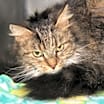 Thumbnail photo of Sophie Mae (Photos 1/4/2025) #1