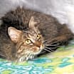 Thumbnail photo of Sophie Mae (Photos 1/4/2025) #3