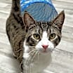 Thumbnail photo of Junior #1