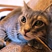 Thumbnail photo of Margo #3