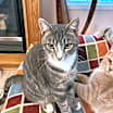 Thumbnail photo of Max #2