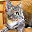 Thumbnail photo of Max #3