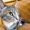 Thumbnail photo of Max #4