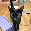 Thumbnail photo of Caden #1