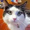 Thumbnail photo of Oscar #1