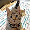Thumbnail photo of Milton #2