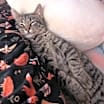 Thumbnail photo of Milton #3