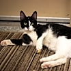 Thumbnail photo of Ashley #2