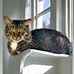 Thumbnail photo of Winnie #1