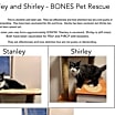 Thumbnail photo of Shirley + Stanley #1