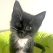 Thumbnail photo of Rocket and Void #2