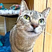 Thumbnail photo of Barbie H #2