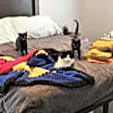 Thumbnail photo of Caden #3