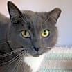 Thumbnail photo of Ranger #3