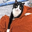 Thumbnail photo of Buddy #4