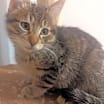 Thumbnail photo of Nellie #1