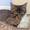 Thumbnail photo of Nellie #2