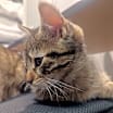 Thumbnail photo of Nellie #4