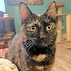 Thumbnail photo of Vera #1