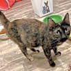 Thumbnail photo of Vera #2
