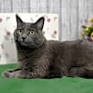 Thumbnail photo of Esmeralda #1