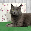 Thumbnail photo of Esmeralda #3