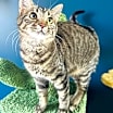 Thumbnail photo of Echo #1