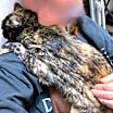 Thumbnail photo of Moki #4