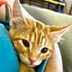 Thumbnail photo of Otis Q #2