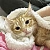 Thumbnail photo of Otis Q #3